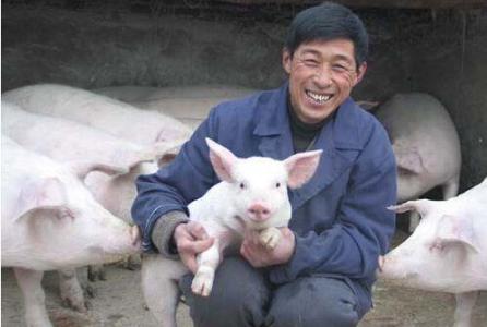 新买进生猪应该注意些啥?怎样才能防止买进病猪和降低新买生猪发病率?