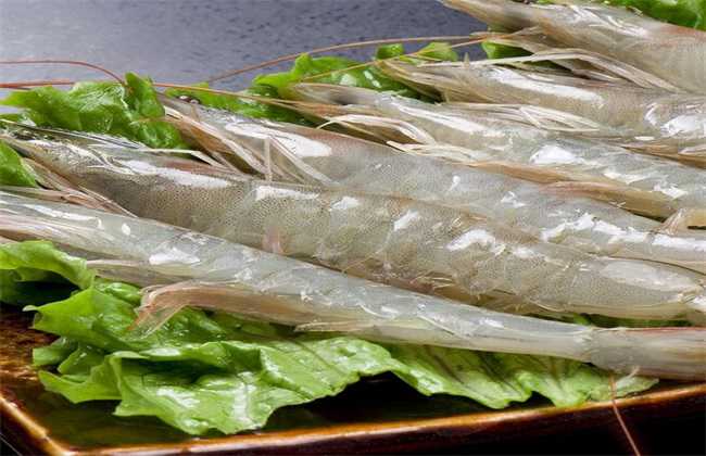 南美白对虾的养殖技术有哪些？