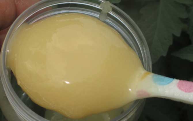 柠檬蜂蜜面膜的功效及简单做法