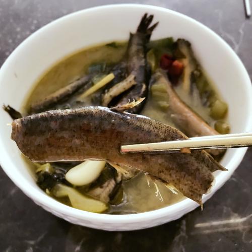 泥鳅汤怎么做最补 泥鳅汤烹饪方法