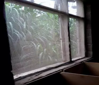 给竹鼠养殖场窗户安装纱窗