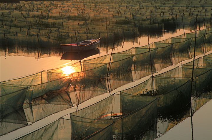 2019黄鳝养殖技术都有哪些可靠的？