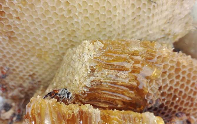 蜂巢蜜是怎么生产的？