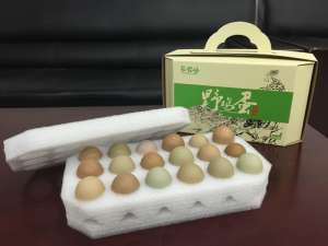 山鸡蛋与土鸡蛋的差别_库百科山鸡养殖