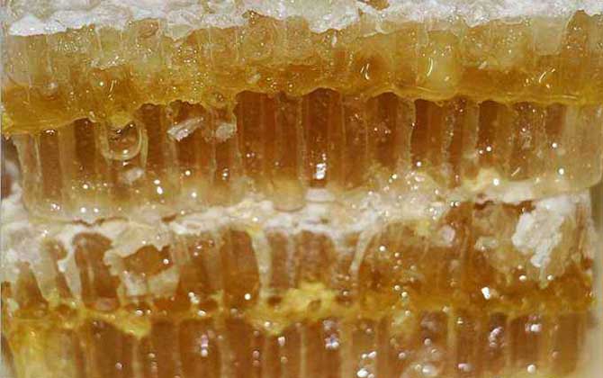 蜂巢蜜的真假怎么鉴别？