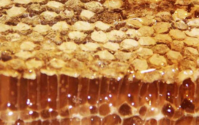 蜂巢蜜真的有假的吗？