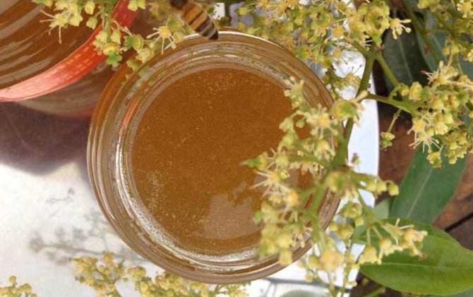 荔枝蜜的功效与作用及食用方法