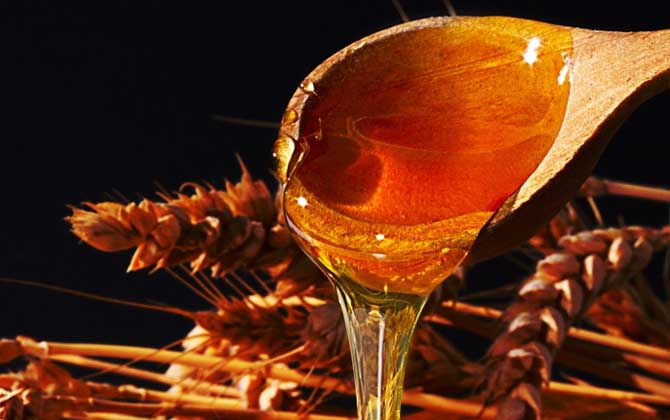 蜂蜜的作用与功效及食用方法