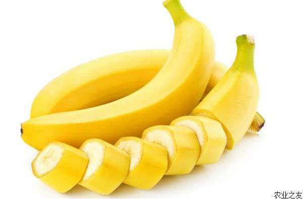 香蕉根线虫的防治方法