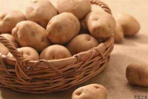 土豆晚疫病防治措施
