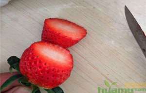 甜查理草莓苗几月份成熟-什么时候采摘最合适？