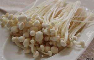 金针菇主要栽培品种