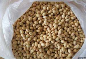 大豆储藏条件及方法