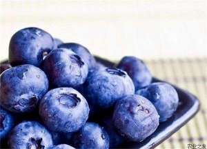 蓝莓的种植技巧
