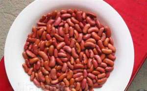 豇豆种植技术与管理
