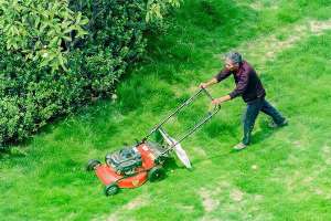 草坪修剪高度的三个标准一定得知道！
