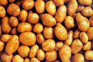 土豆的3种基本科学贮藏方法