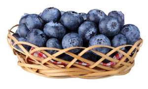 蓝莓品种有哪些，什么品种好【库百科养殖网】