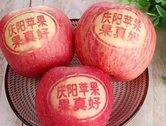 庆阳苹果，中国国家地理标志产品，甘肃省庆阳市特产