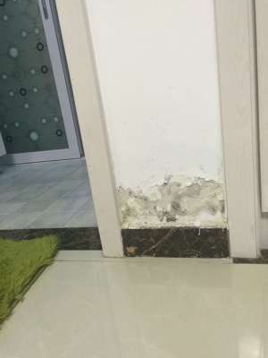 卫生间砖缝漏水原因是什么，卫生间砖缝漏水怎么办呢