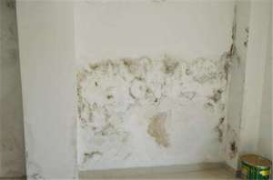 墙面漏水的原因是什么，墙面漏水处理方法有哪些-