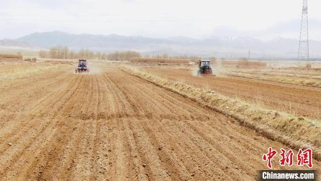 上万亩藜麦在柴达木盆地开始播种