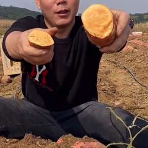 紫土豆的种植技术视频(红薯花生山药土豆膨大增产绿色安全#抖音618好物节)