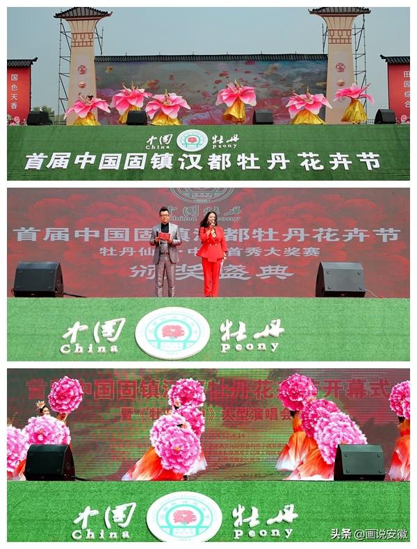 首届中国固镇汉都牡丹花卉节在蚌埠市新马桥汉都牡丹园隆重开幕