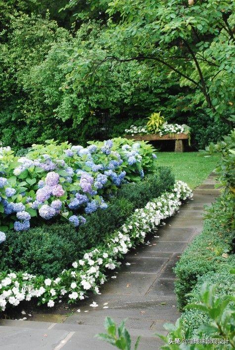 庭院景观设计：适合庭院种植的花灌木（二）