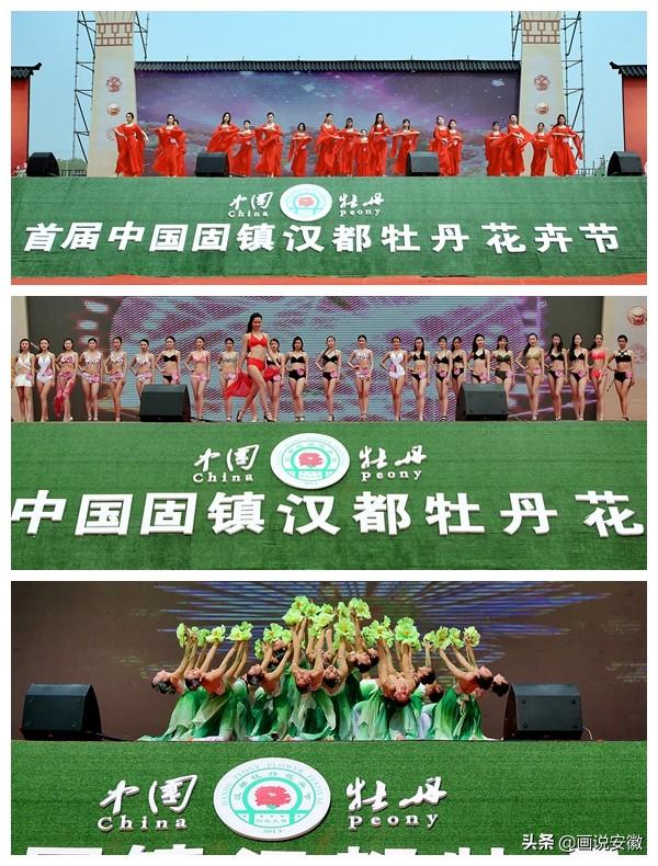 首届中国固镇汉都牡丹花卉节在蚌埠市新马桥汉都牡丹园隆重开幕