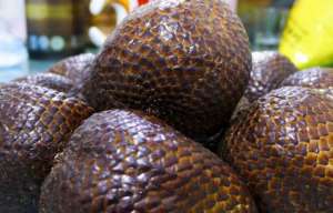 蛇皮果的种植条件(外形奇特的蛇皮果，南方地区著名的水果，并且曾被称为记忆之果)