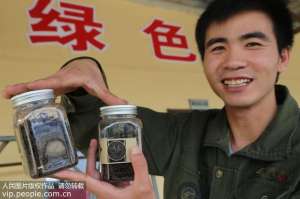 上海土元养殖(全蝎、蜈蚣、地鳖虫……虫类药可用于治疗这些疾病)