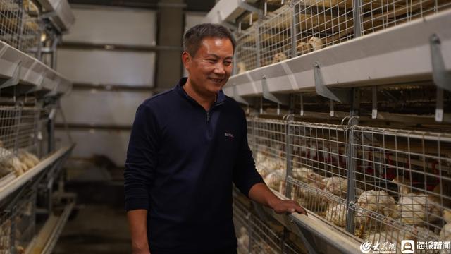 诸城市大力创新肉鸡产业“按揭养殖”奋力实现乡村振兴“走在前”