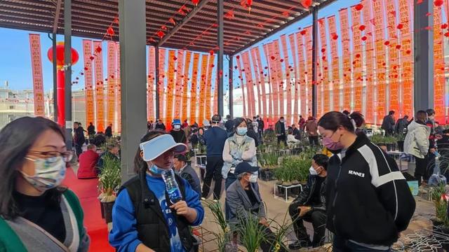 打造“兰花+”模式！第一届中国·鹤庆兰花博览会开幕
