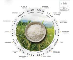 谷子种植地区(湖南水稻面积全国第一 湖南最好吃的大米在哪里？)
