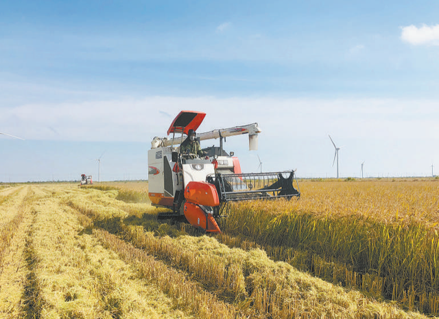 绿色富硒大米价格高效益好，是怎样种植的？专家介绍5项栽培技术