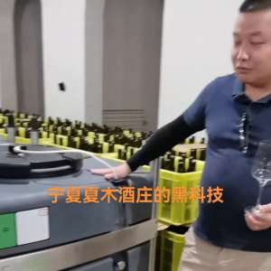黑李子的种植技术(宁夏精品酒庄：夏木，酒庄的酿酒黑科技，来了解一下#宁夏)
