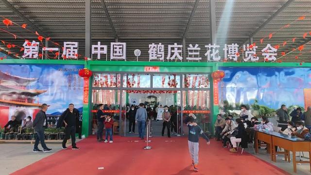 打造“兰花+”模式！第一届中国·鹤庆兰花博览会开幕