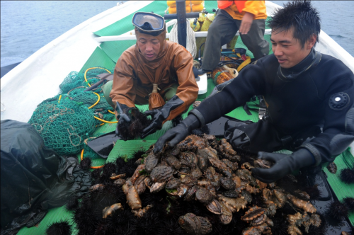 獐子岛树起中国渔业风向标