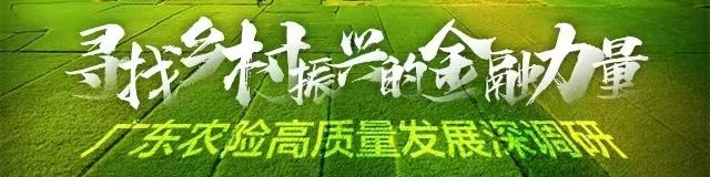 平安财险广东分公司：特色农险稳增收 科技赋能强产业