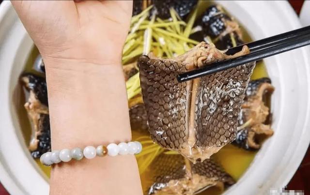 广东吃蛇传承上千年，现在全面禁止食用！一刀切是否会适得其反？