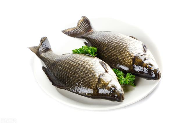 盘点常见的淡水鱼和家常做法，终于知道了它们的名字，长知识！