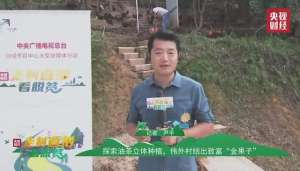油茶树的种植视频(快来看央视直播黔西南州册亨县伟外村探索油茶立体种植，结出致富“金果子”)