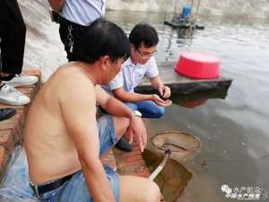 中国虾养殖(看他们如何成功养殖白对虾、石斑鱼和花虾)