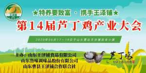 广西贵港黑豚养殖户(全国首家芦丁鸡养殖专家咨询热线开通六个月受益数千人)
