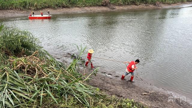 广东茂名某养殖场鳄鱼出逃事件最新进展：已捕获鳄鱼44条