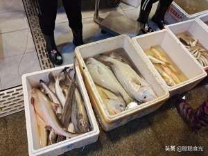 比目鱼是养殖的吗(买鱼时，内行人专买这8种野生海鱼，难以人工养殖，看完长知识)