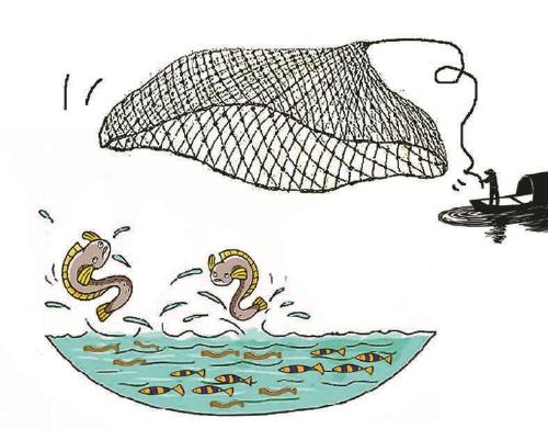 渔民“绝户式”捕捞“股东”统一买卖 江苏泰州：53人因非法捕捞、收购、贩卖鳗鱼苗获刑