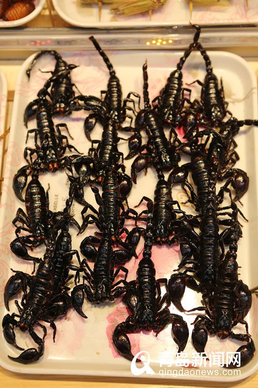 蟑螂、蜈蚣、蜘蛛、蝎子……青岛重口味“虫子宴”你敢吃吗？