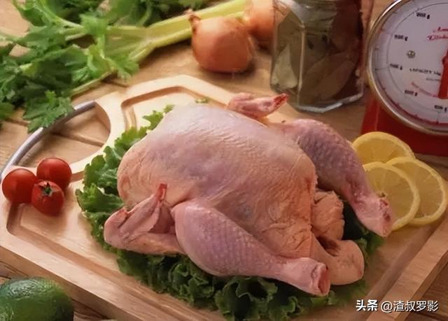 被西方推崇的火鸡，为何在中国却无人问津？连养的人都很少？